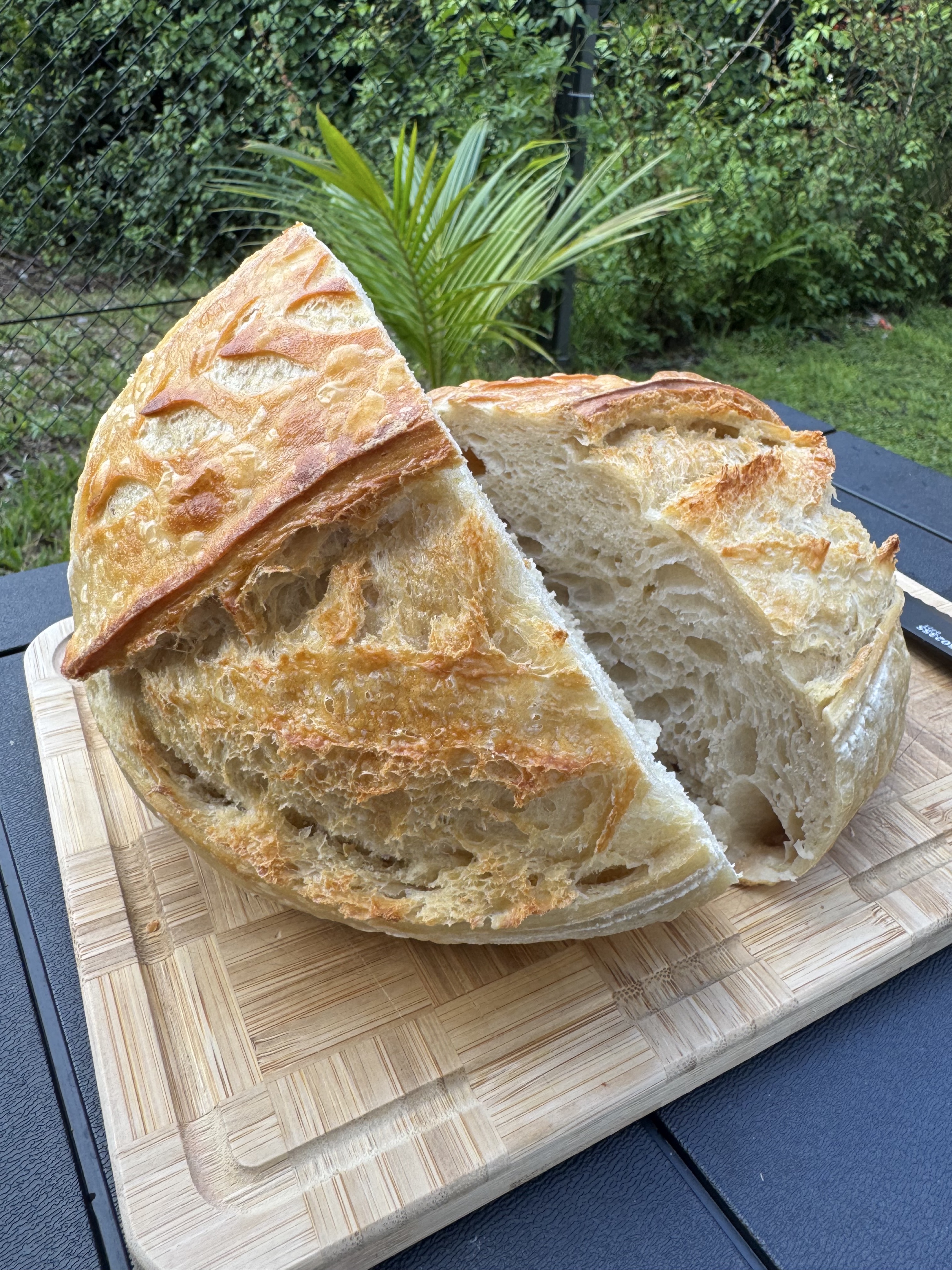 Sourdough Bread
